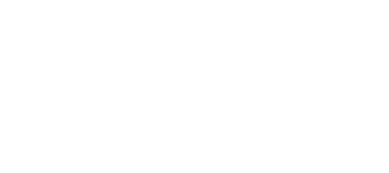 NizerChats Logo